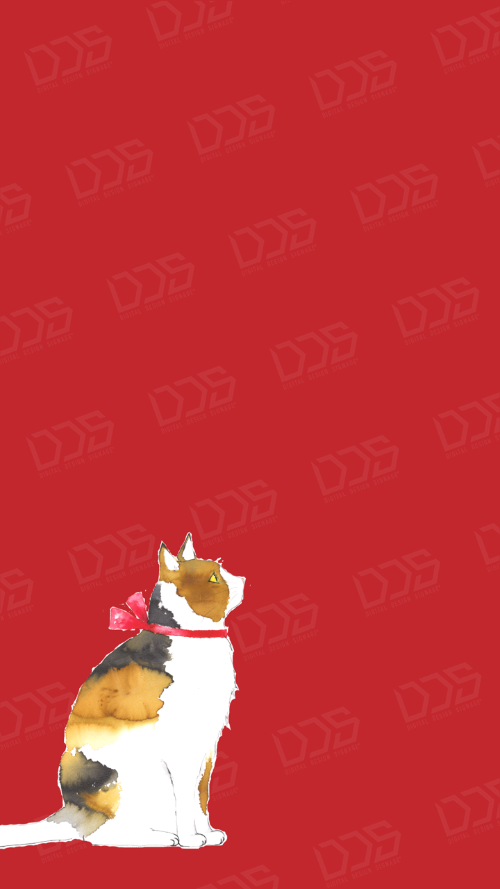 Dds デジタルデザインサイネージ 手描きイラスト 猫のテンプレート