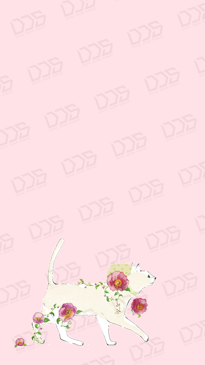 Dds デジタルデザインサイネージ 手描きイラスト 猫と花の